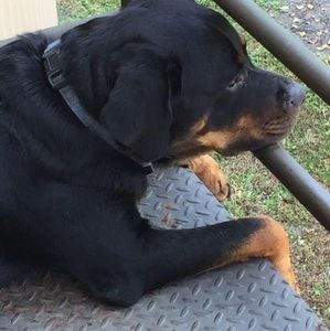 Meet your Posher, Beth